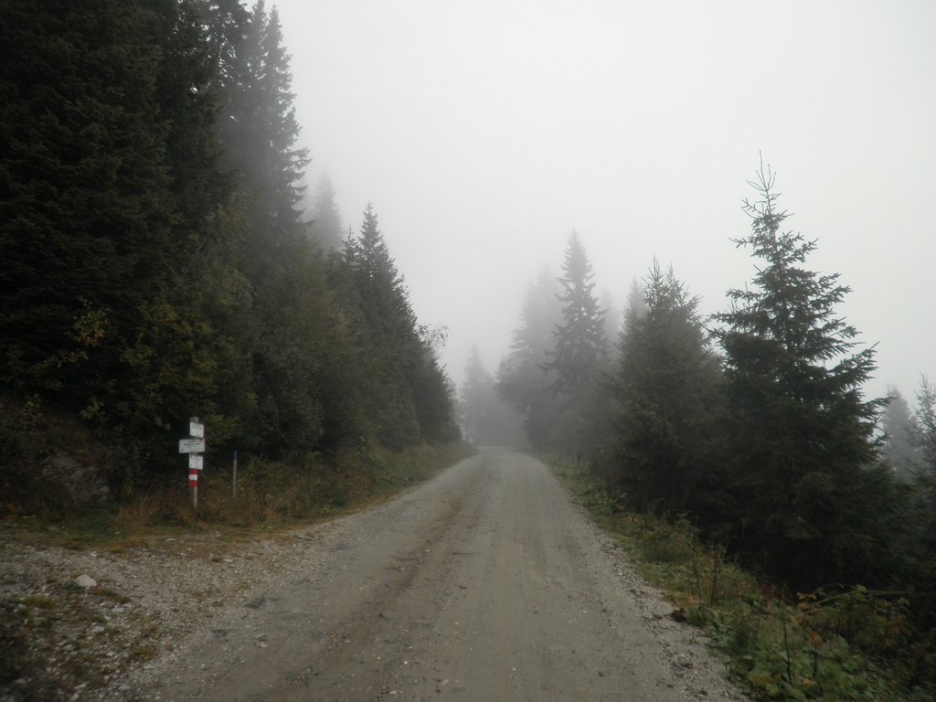 PA030104.JPG
