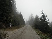 PA030104.JPG