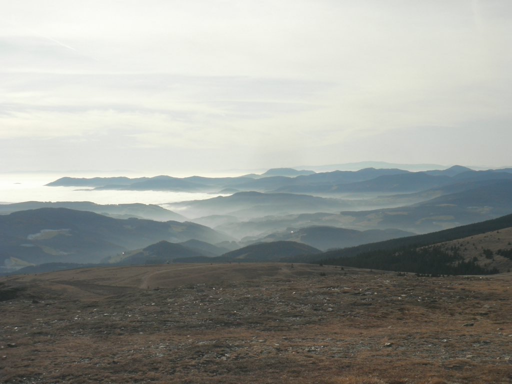PB200102.JPG