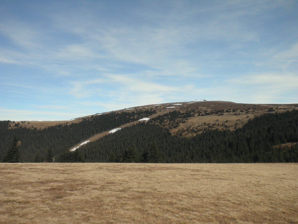 PB200104.JPG