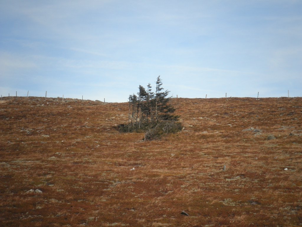 PB200112.JPG