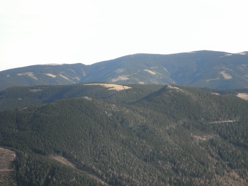 PB200113.JPG