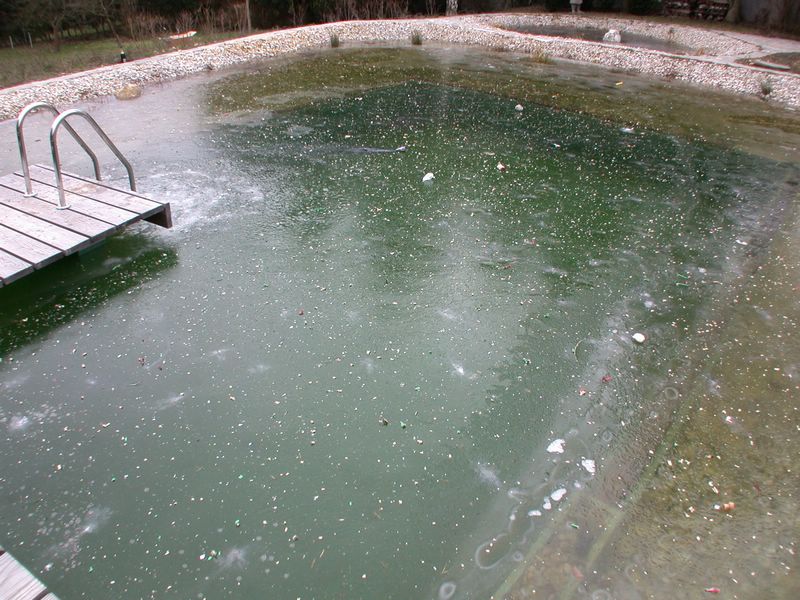 DSCN1358.JPG