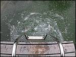 DSCN1359.JPG