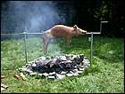 DSCN0193.JPG