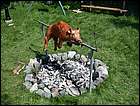 DSCN0200.JPG