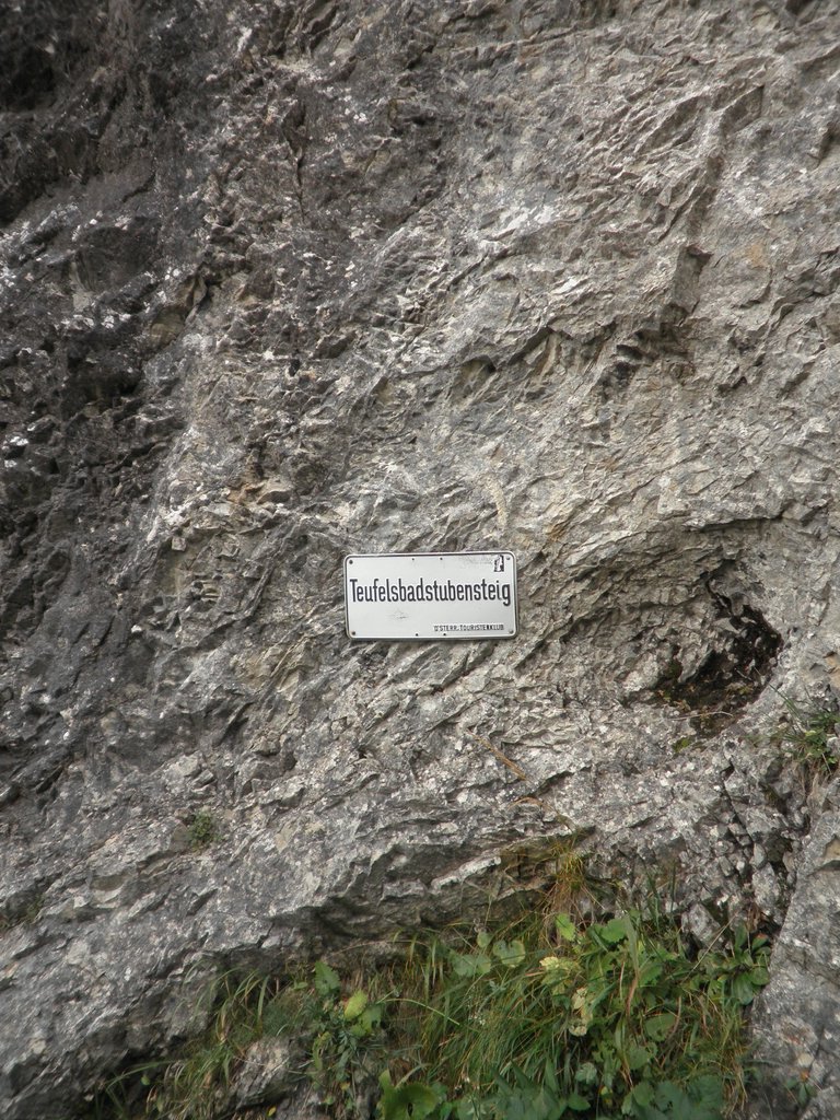 P9120010.JPG