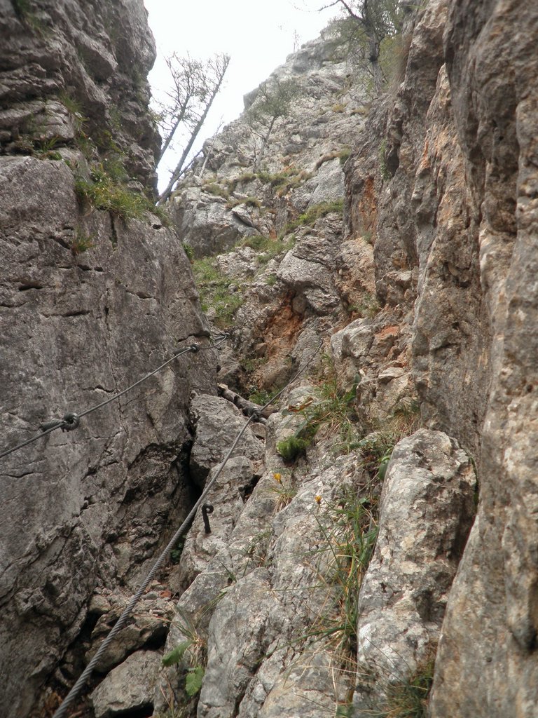 P9120032.JPG
