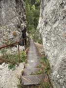 P9120004.JPG