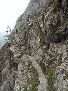 P9120016.JPG