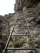 P9120021.JPG