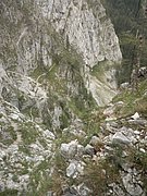 P9120026.JPG