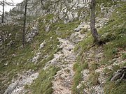 P9120028.JPG
