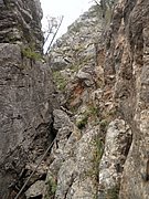 P9120032.JPG