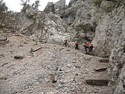P9120038.JPG