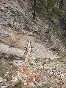 P9120041.JPG