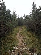 P9120046.JPG