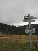P9120049.JPG