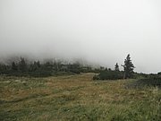 P9120053.JPG