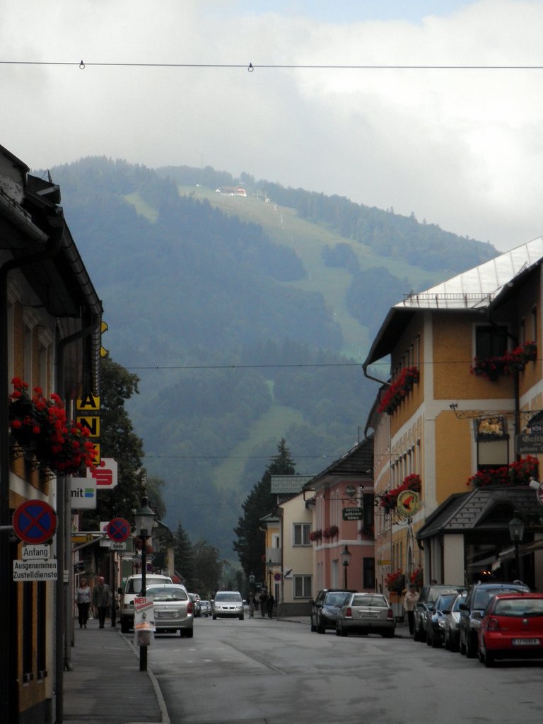 P8230041.JPG