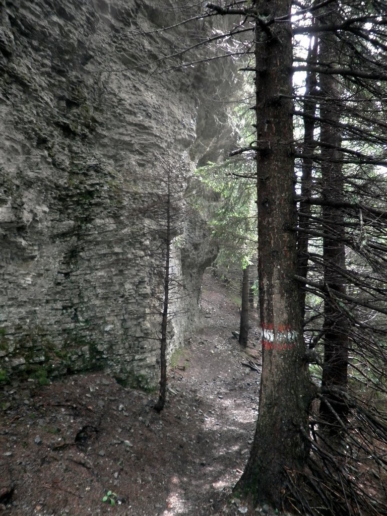 P8230138.JPG