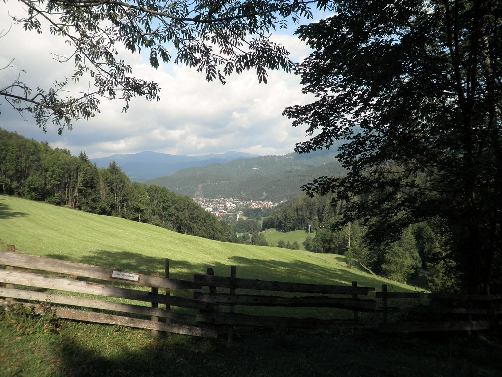 P8230204.JPG