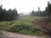 P8230061.JPG