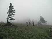 P8230074.JPG