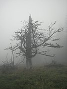 P8230105.JPG