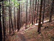 P8230112.JPG