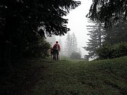 P8230139.JPG