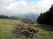 P8230155.JPG