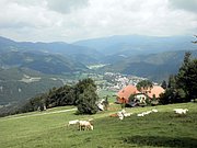 P8230171.JPG