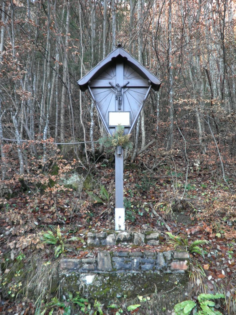 PB140001.JPG