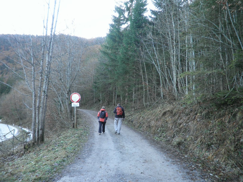 PB140002.JPG