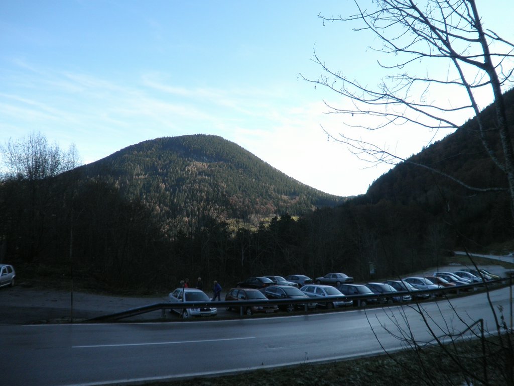 PB140003.JPG