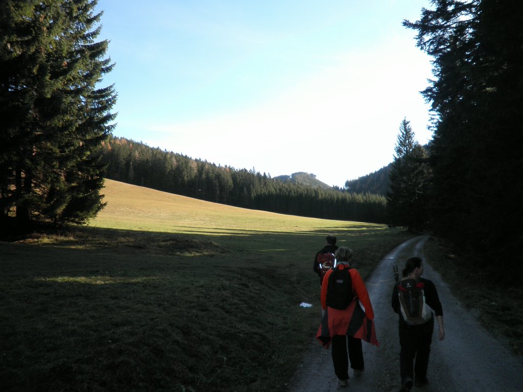 PB140006.JPG