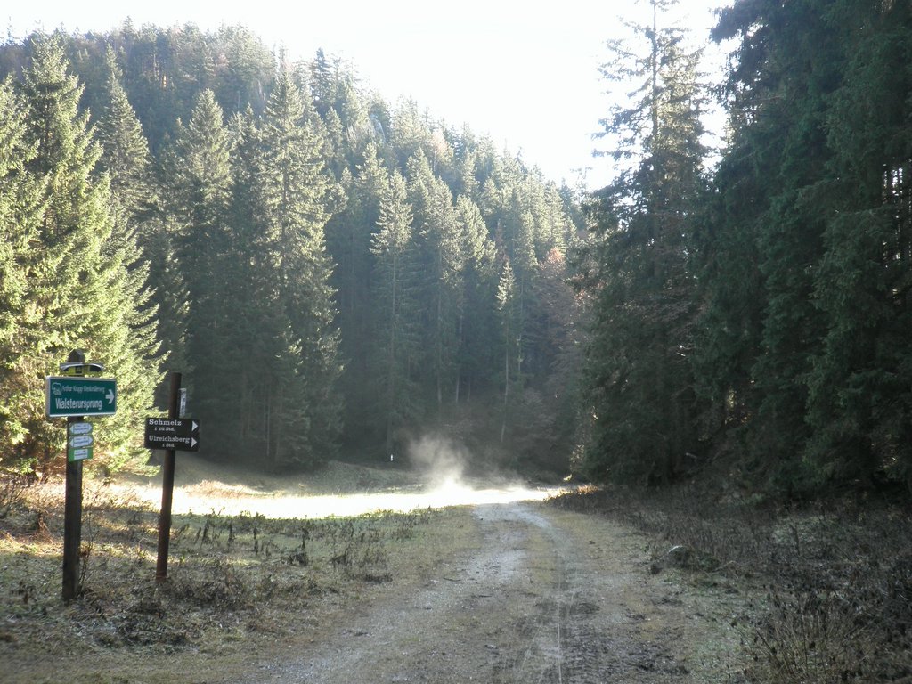 PB140010.JPG