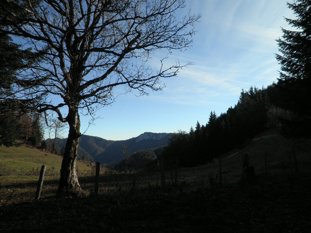 PB140014.JPG