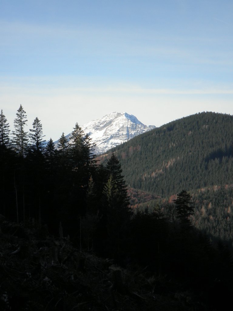 PB140016.JPG