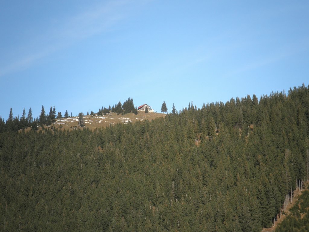 PB140020.JPG