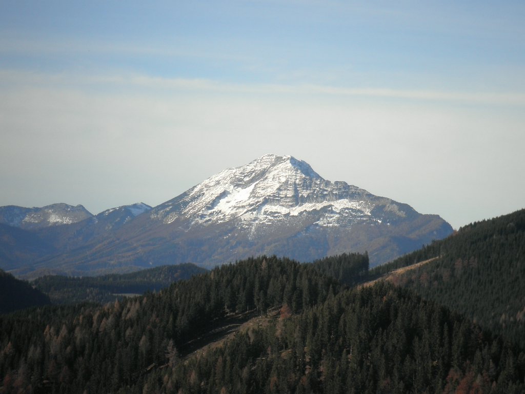 PB140033.JPG