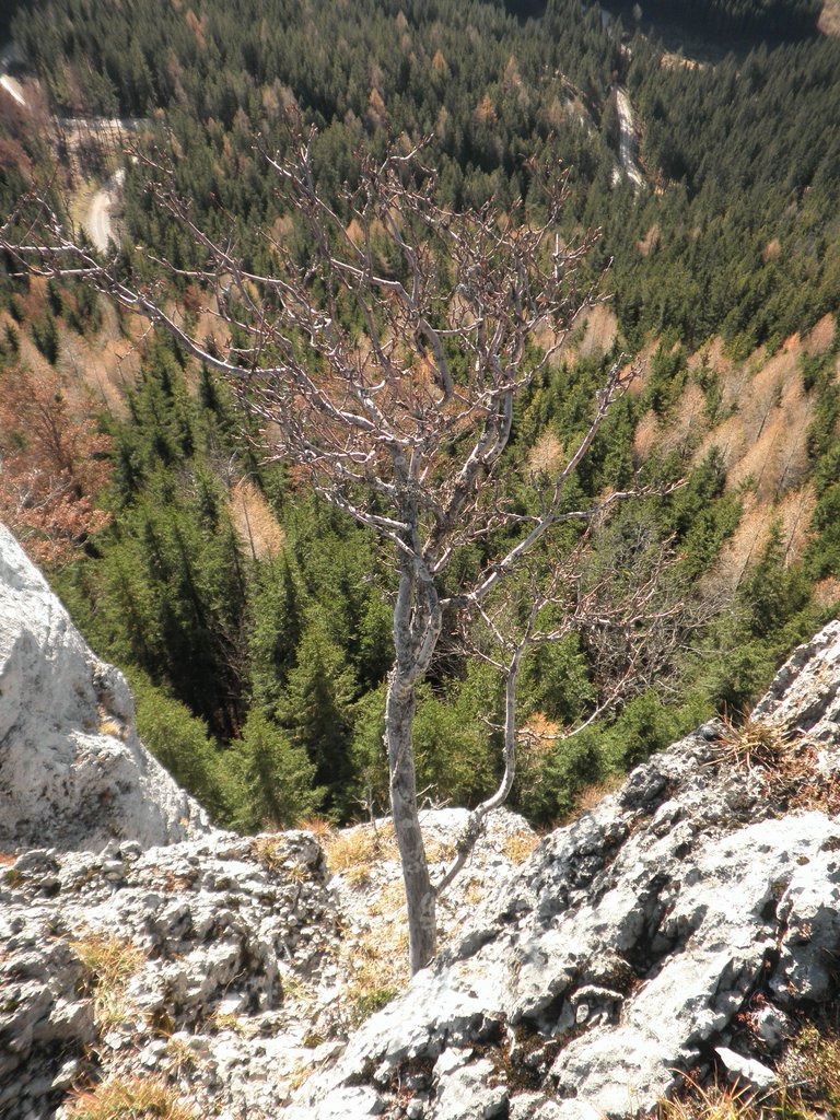 PB140034.JPG