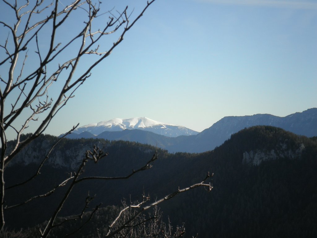 PB140046.JPG