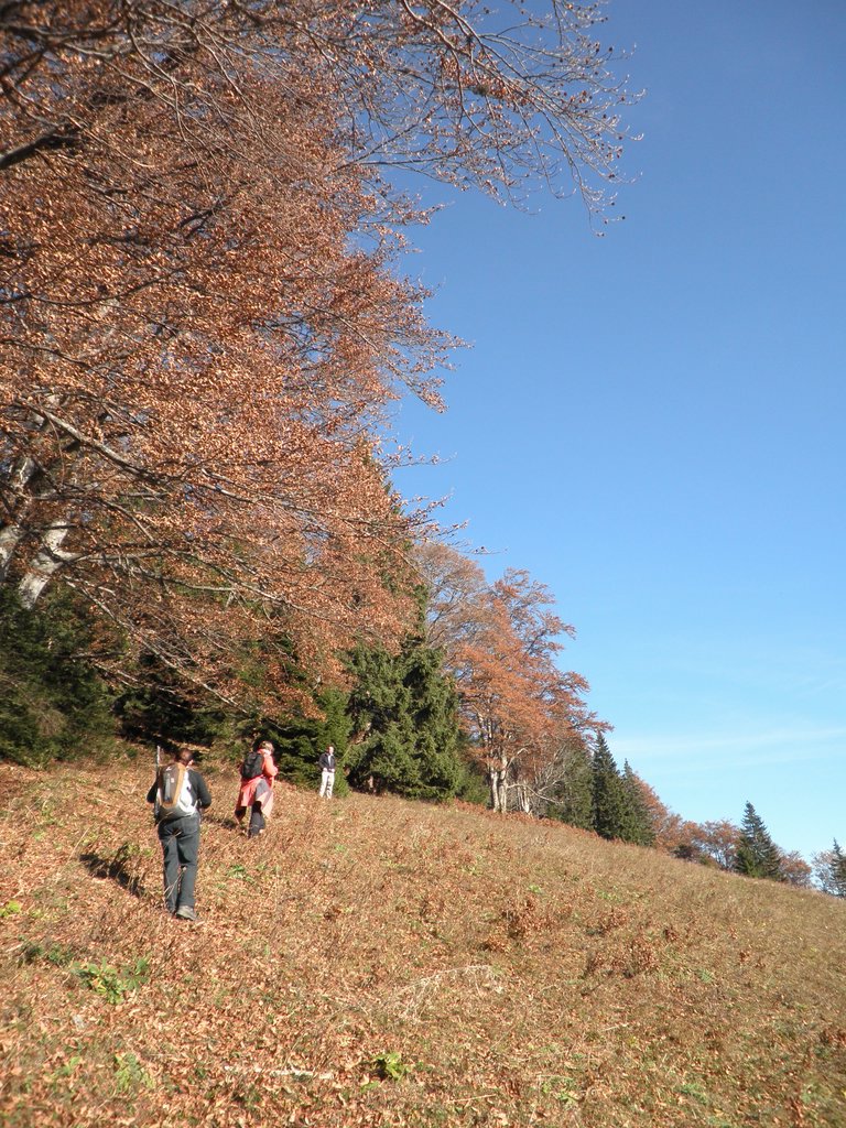 PB140060.JPG