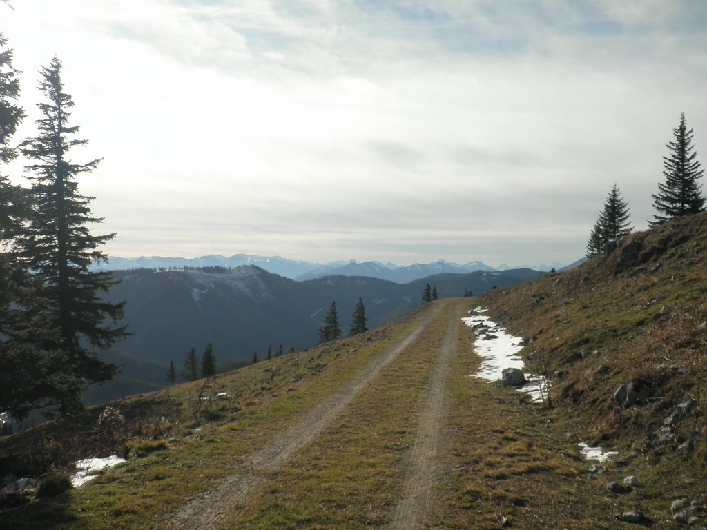 PB140078.JPG