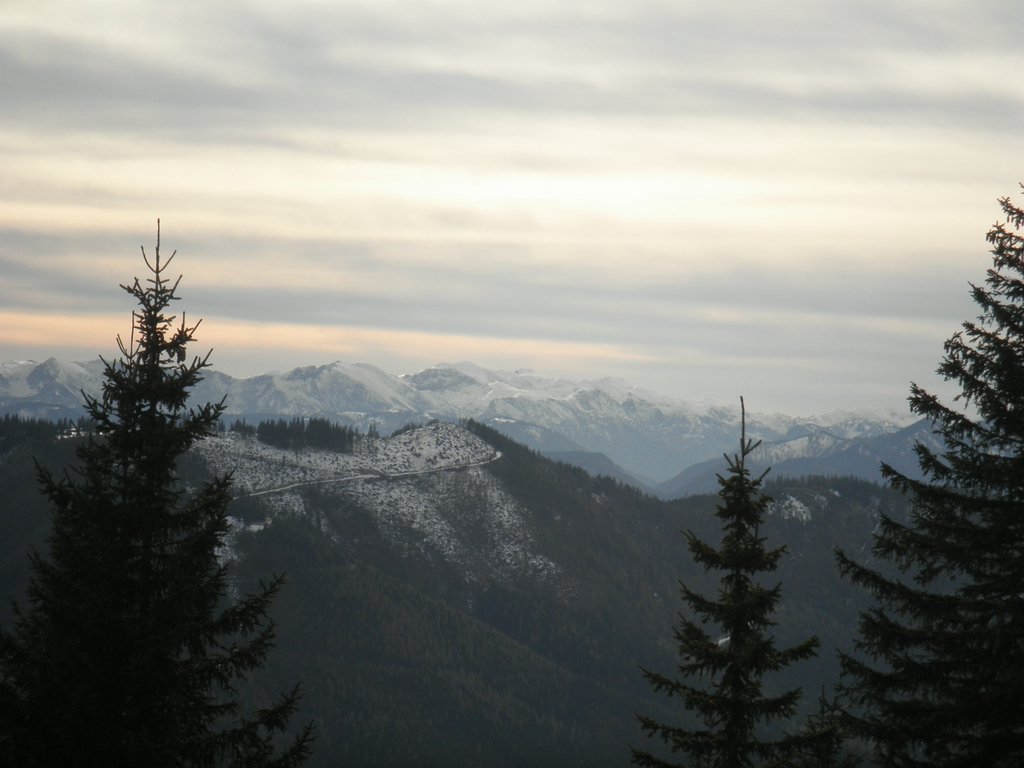 PB140089.JPG