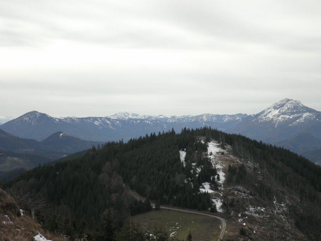 PB140096.JPG