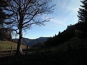 PB140014.JPG