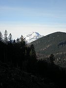 PB140016.JPG